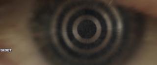 Белый волк (2021)