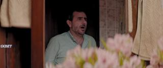 Лучшие семейства (2020)