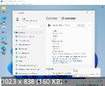 Windows 11 3in1 VL x64 v.25.10.22 Elgujakviso Edition (RUS/2022)