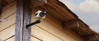 Во все глаза (2022)