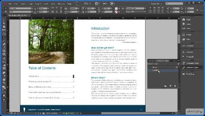 Creating a Multi Page Brochure LaYout in InDesign