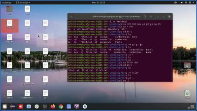 Linux Command Line Terminal Basic for Beginners (In Hindi) (Updated 2021 05)