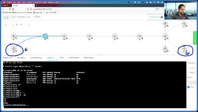 Understanding, Implementing and Optimizing L3VPNs