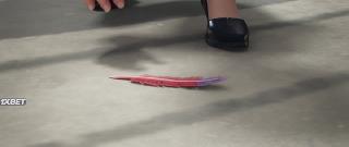 Тэд-путешественник и изумрудная скрижаль (2022)