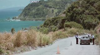 Я и Звери (2021)