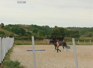 Марсель! (2022)