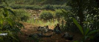 Гхатоткача(2022)