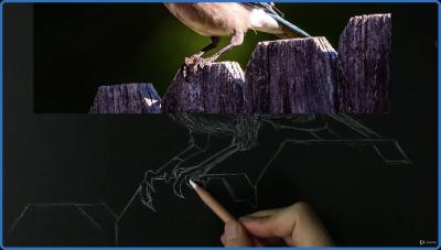 Udemy   Drawing Fundamentals   Shading Basics For Illustration