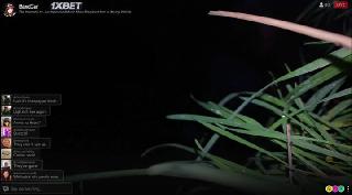 Регистратор (2021)