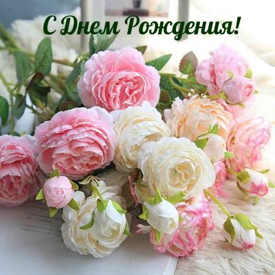 Поздравляем с Днём Рождения Ольгу (Olgarkova) 20c3b643def748a84495ff790defa5b1