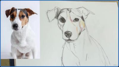 Udemy   The Ultimate Guide To Drawing Dogs