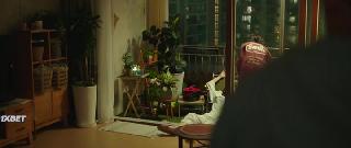 Кооперация 2: Интернэшнл (2022)