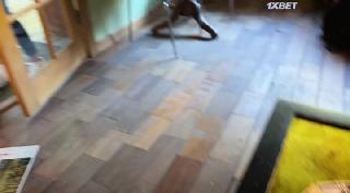 Призраки Хиросимы (2022)