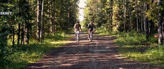 Мэйфлауэр II (2020)