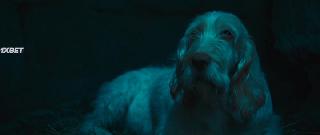 Парсифаль (2021)