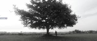 Прощай, Годар (2020)